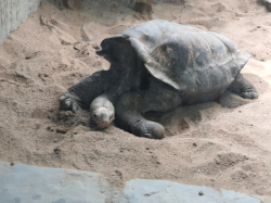  Školní výlet-  Praha